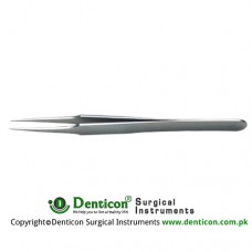 Jewelers Forcep 2#Straight,0.34 x 0.14mm tips, 12cm